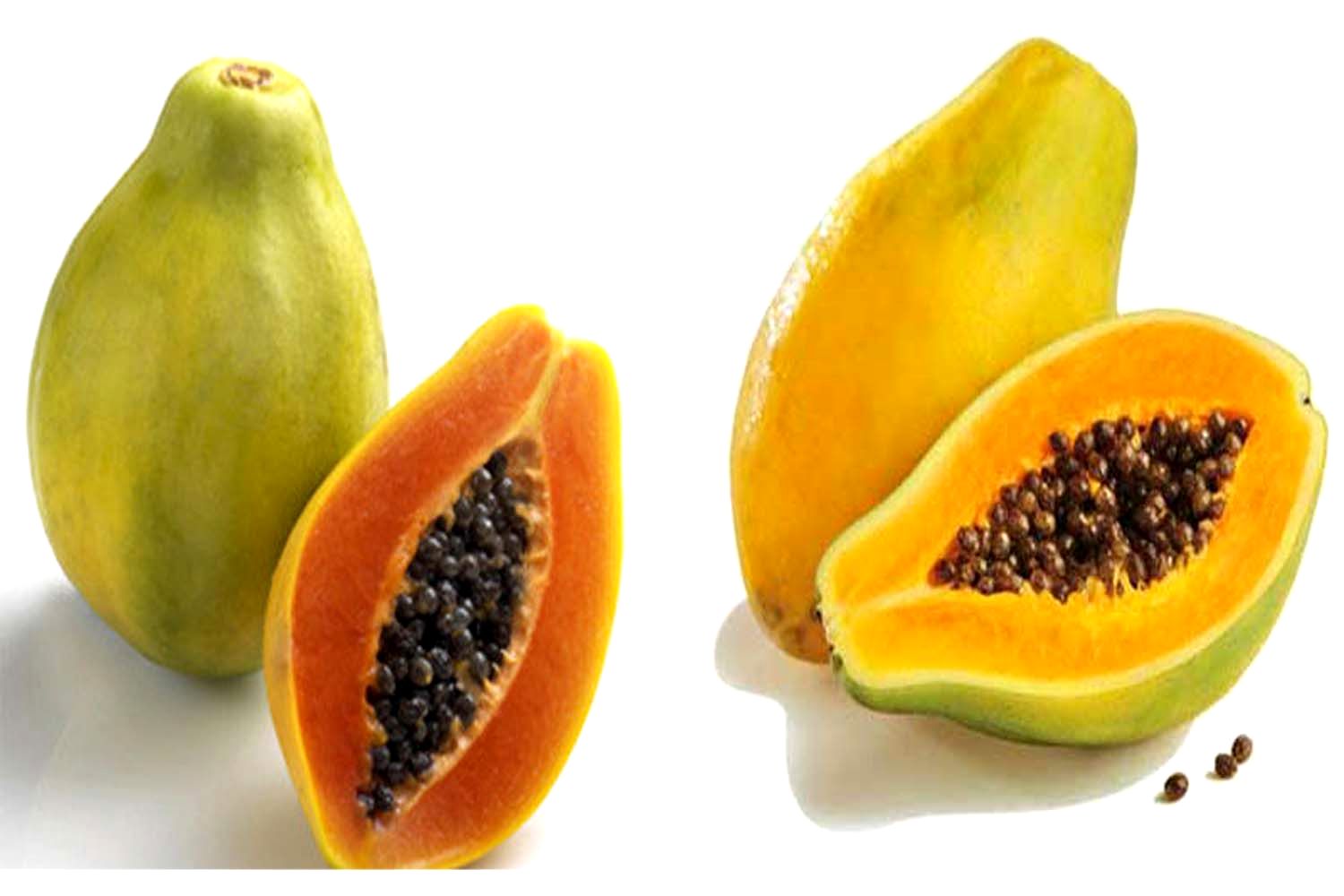 Tips To Recognize Ripe Papaya Non Drug Natural,Cooking Chestnuts In The Oven